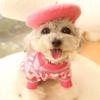 Fashion Pet Beret Hat with Unique Design Enhancing Pet Personality For Social Media Photo And Various Event Gathering