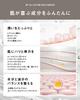 Better Future BF Rich Serum Serum with NMN 50g Aging Care Ostrich Antibody Made In Japan All-in-One All-in-One Next-Generation 7-in-1