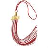 MXLA 2026 Graduation Tassels With Year Charm Class of 2026 Graduation Hat Decoration