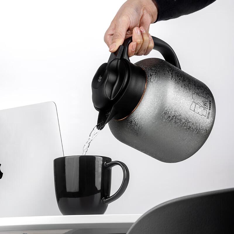 MEIISEO 1.4L Pure Titanium Tea Pot with Smart Temperature Display