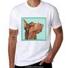 Tops – Camisetas