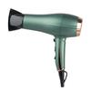 2200W 2 Speed Household High Power Electric Hair Dryer Adjustable Hair Salon Professional Blow Dryer
