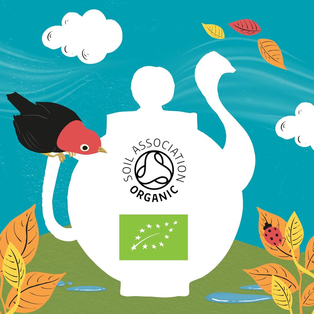 Clipper Tea Earl Grey 20 Tea Bags, Fairtrade, British, Natural, Premium Tea, Individually Wrapped