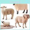 Sheep Animals Pvc Static Model Set With Realistic Features For Collectors And Educational Displays