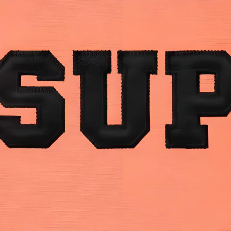 Supreme Collegiate Hooded Sweatshirt SUP-SS24-007