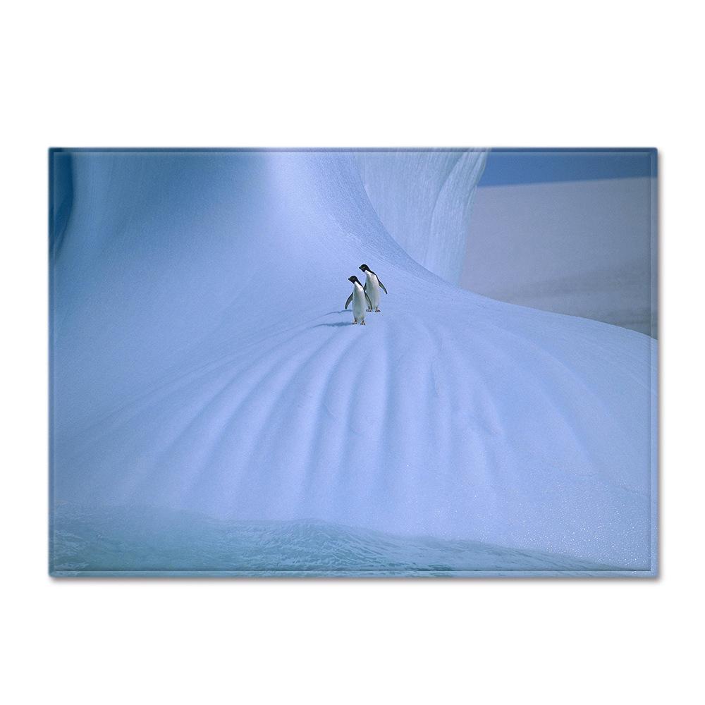 Animal Large Carpet Feather Wind Bedroom Floor Mat