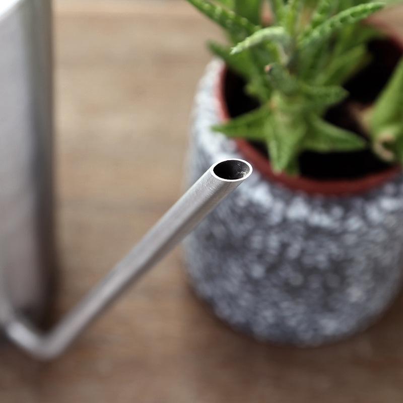 Stainless Steel Indoor Watering Can with Long Spout and Spray Bottle for Gardening and Plant Care