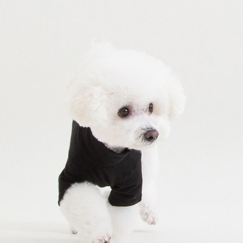 T-shirt à col roulé foreverybari (noir)