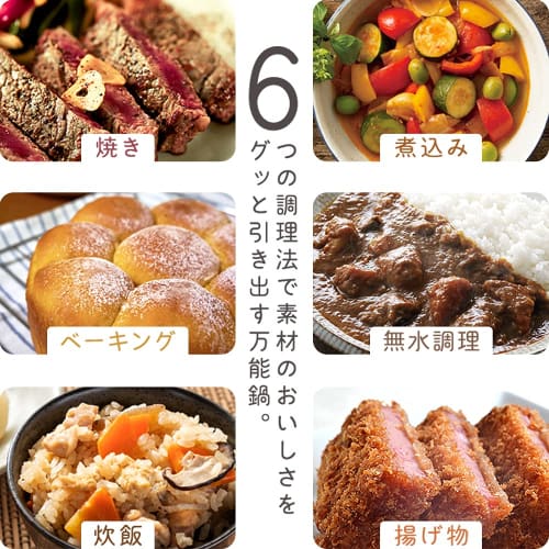 IRIS OHYAMA (IRIS OHYAMA) [Whole Pot Oven Cookable] IRIS OHYAMA 24cm Single-Person Pot, Waterless Cooking Pot, Enamel Pot, Double-Handled Pot, Cast Ir