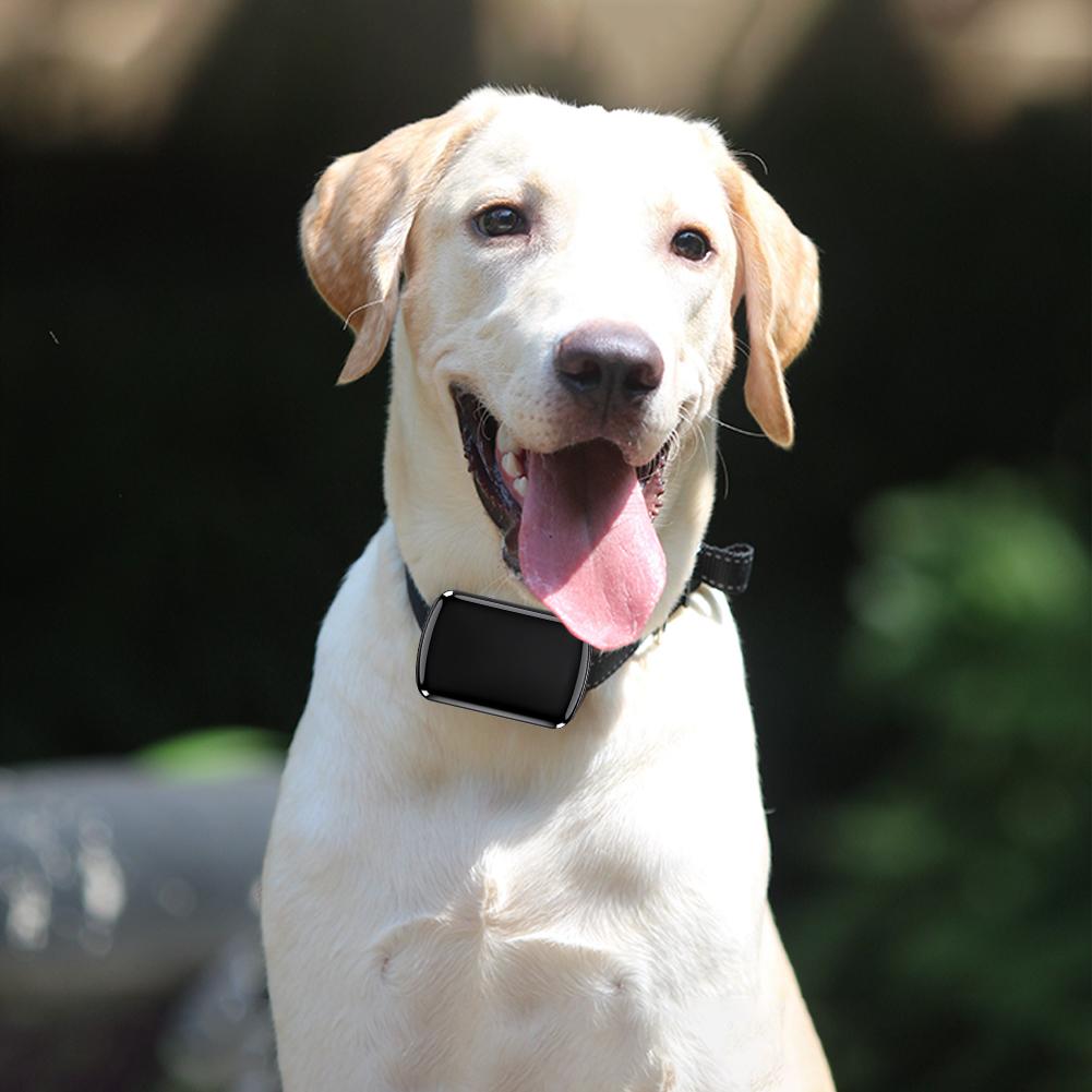 Dog Tracker with Adjustable Collar Cat Locator Smart Pet Locator for Dogs & Cats