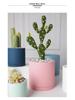 Morandi Colorful Ceramic Cylinder Flower Pots with Saucers for Indoor/Outdoor Plants