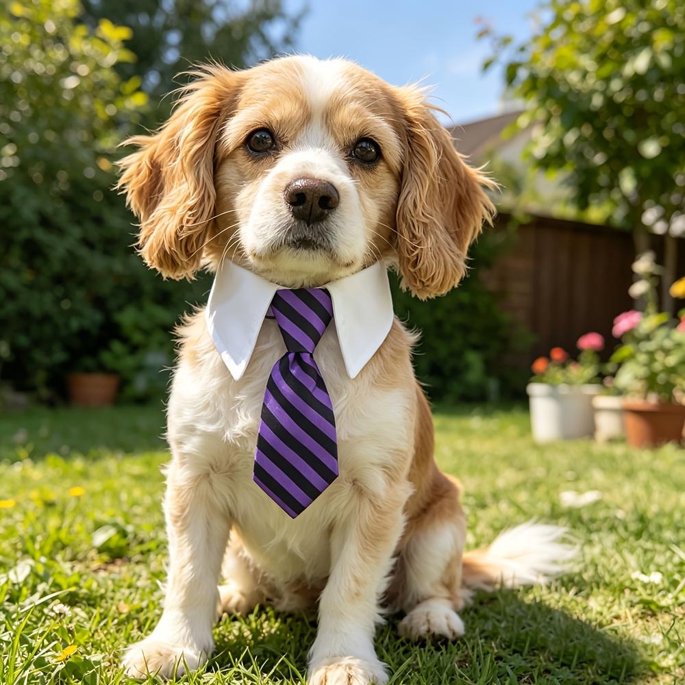 XDDOG Adjustable Cat & Dog Collar Bow Tie with Tape Buckle - Suitable for Small Pets, - Formal Necktie for Costume Accessories, for, Parties,