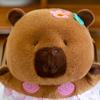 New Internet Celebrity Capybara Backpack Mermaid Capybara School Bag Children's Birthday Gift Plush Toy Bag