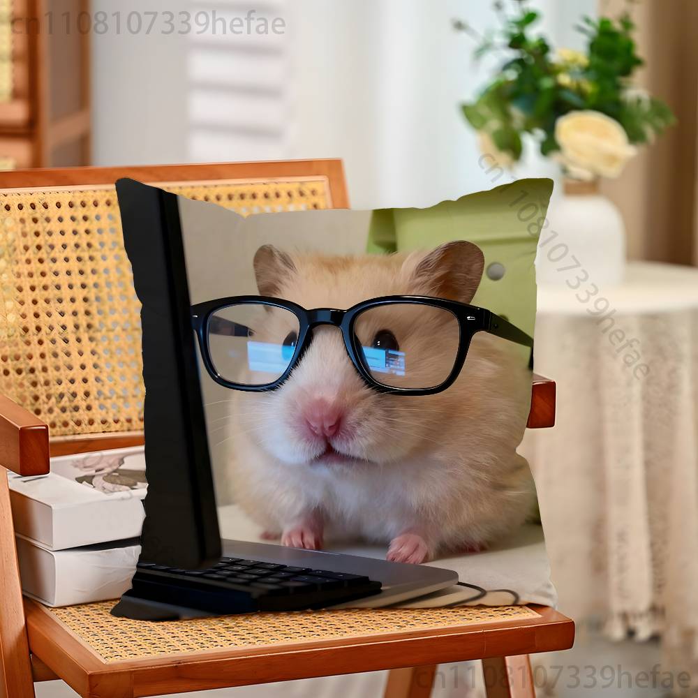 Cute Animal Hamster Throw Pillow Case For Decoration 30cm 50cm 55cm Square Home Pillowcase Case