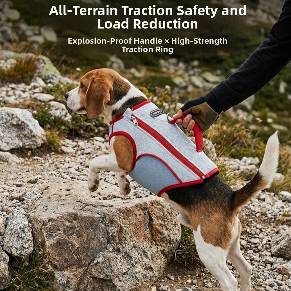 Sun Protection Pet Cooling Shirt Breathable Dog Sunscreen Clothes Dog Cooling Vest  Walking