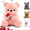RANJIMA Teddy Bear with Rose, 35cm Pink Plush Stuffed Animal Toy Pillow Birthday Valentine's Day Gift for Girlfriend Women