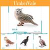 Realistic Pvc Animal Model Set Featuring Owl Eagle Vulture Monkey Face Owl For Display