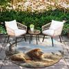 Lion pattern round rug,Carpet Rug for Living Room Bedroom Playroom ,Non-slip Floor Mat,Holiday Gifts and Birthday Gifts.