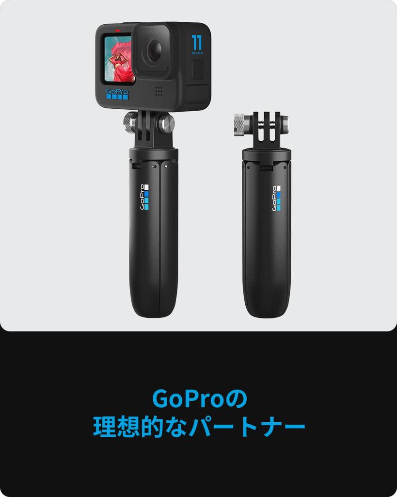 GoPro Official Accessory Shorty Mount (AFTTM-J01)
