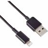 Alpine Lightning Cable KCU-471i2
