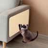 Kedi – Kedi Eğitim Aparatları