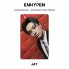 ENHYPEN DIMENSIONE : FOTOCARTA UFFICIALE WEVERSE ANSWER