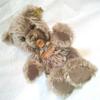 [USED] Antique Steiff teddy bear, stuffed bear, Steiff