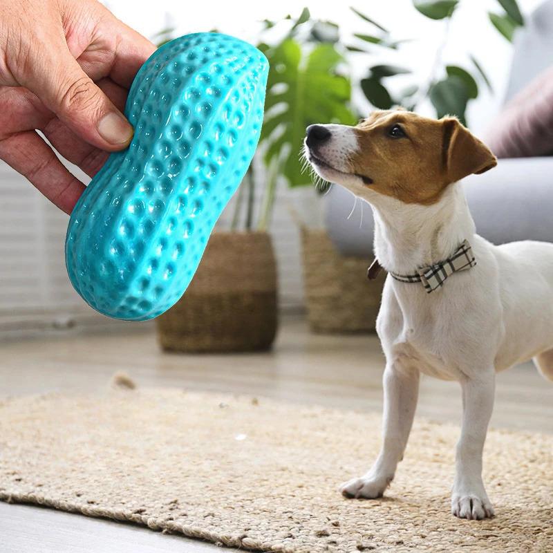 Squeaky Peanut Dog Chew Toy for Aggressive Chewers Interactive Pet Toy for Teeth Cleaning and Anxiety Relief Durable Rubber