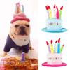 Cute Adorable Dog Cat Birthday Cake Hats Pet Cap Headwear Hat with Candles Design Pet Party Gift Accessories Dog Toys