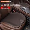Accesorii pentru interiorul mașinii – Perne auto