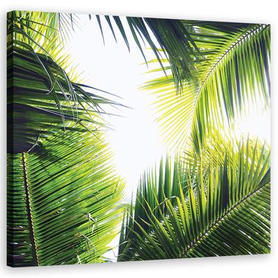 Canvas Print Palm Leaves
