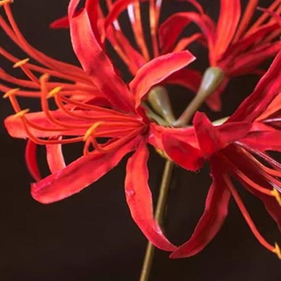 Hairpin Ancient Chinese Hanfu Inspired Simulated Flower Hairpin with Tassel Design Thick Curly Hair Wedding Accessory