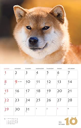 Calendar 2023 Shiba Inu (Month Flip/wall Hanging) (Yamakei Calendar 2023)