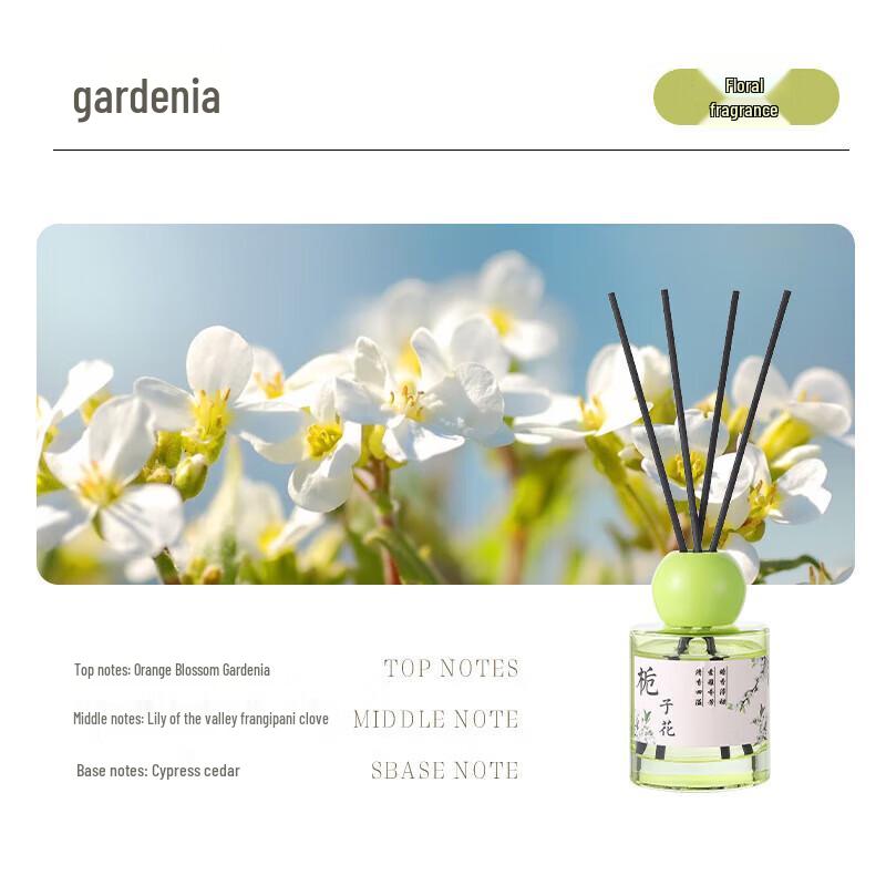 Zuohe QLQ Flameless Aroma Reed Diffuser 150ml