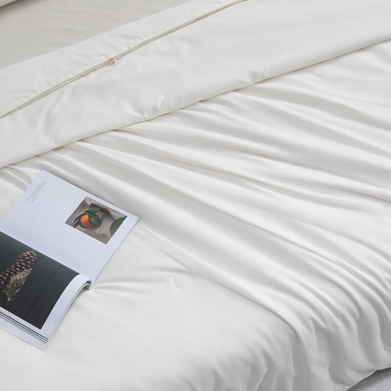 Mercury Home Textiles Mulberry Silk All-Season Quilt