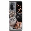 Tempered Glass Colorful Cover For Xiaomi Redmi Note 10 Pro Case Hard Shockproof Funda for Redmi Note10 / Note 10Pro Cases Shell