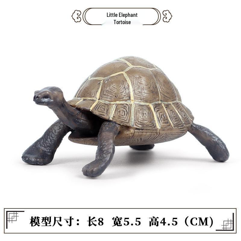 Cross-Border Children's Cognitive Amphibian & Reptile Tortoise Model Fish Tank Ornament Toy
