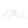 VidaXL Greenhouse with White Steel Frame 16 M² 4x4x2 M, Polytunnel, Cold Frame, Tomato Greenhouse, Garden Greenhouse, 3188072