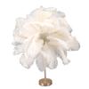 Ostrich Feather Table Lamp Rechargeable Modern Romantic Decoration Lamp Bedroom Bedside Lamp for