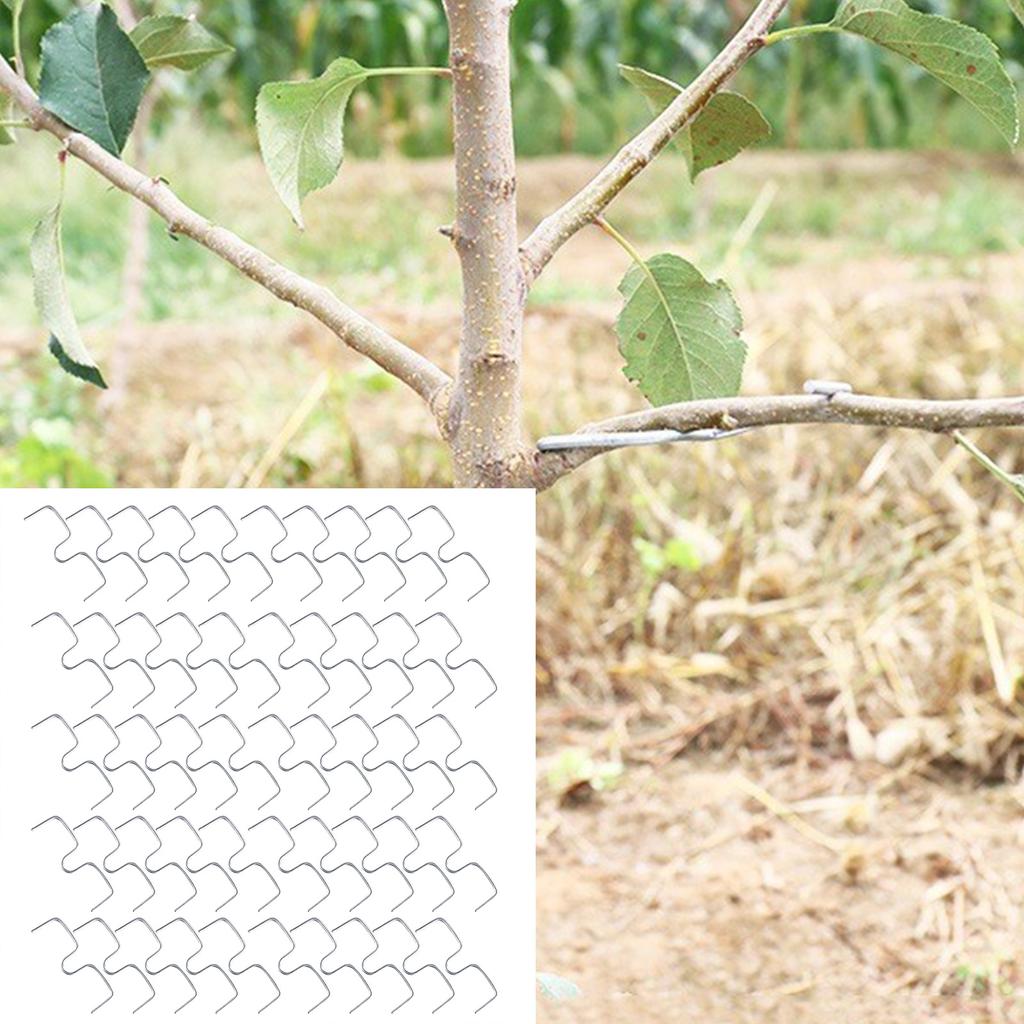 100Pcs Fruit Tree Branch Puller Tying Machine For Plum Trees Open Angle Tool Plant Shaping Tool with M Shape 4inch