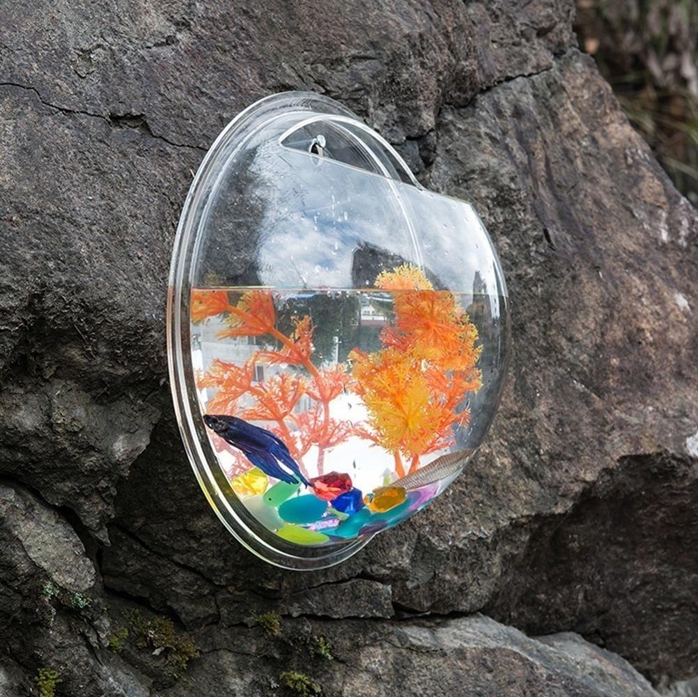 Acquario Da Parete In Acrilico - Vaso Appeso Per Pesci O Piante, Decorazione Casa - Foto 9