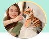 Creative Cartoon Little Tiger Plush Toy Doll - Year of the Tiger Claw Machine Prize