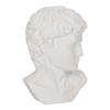 DECORATION white head of David made of plastic CLASSIC