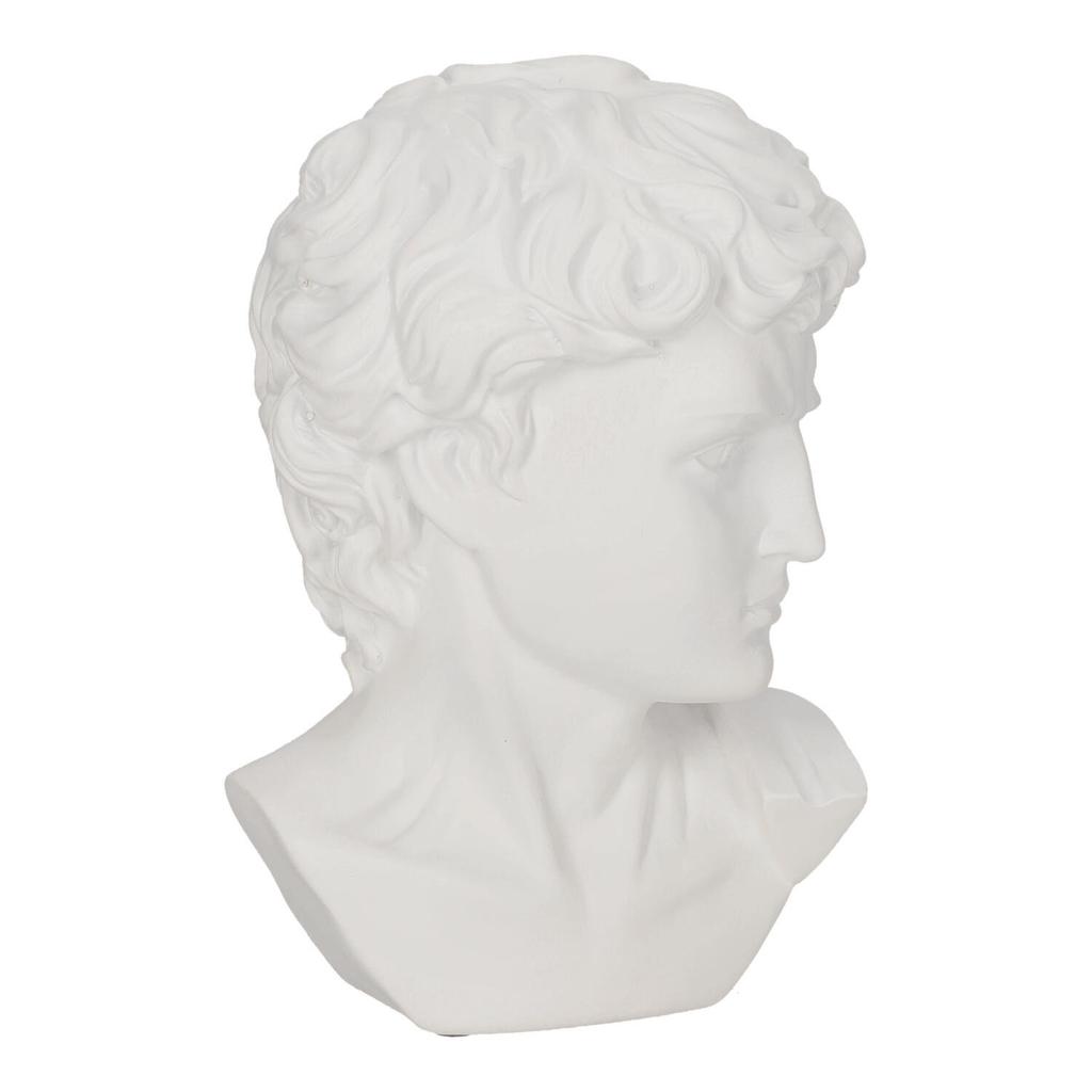 DECORATION white head of David made of plastic CLASSIC