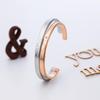 Pair Bangle Surgical Stainless Steel Diamond Pink Gold Silver [White Clover] & & 4SBG031GO&4SBG0032SV