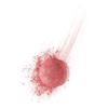 BOURJOIS Rouge - Dose rund - 74 Rose Ambre