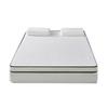 Latex Mattress Topper for Dorms and Rentals - Single-Person Tatami Sponge Pad