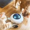 3 Pack Replacement for Interactive for Cat Indoor Entertainment Toy