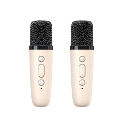 Newmine DP99 Home KTV Microphone Speaker Set CN Plug (adapter Included)