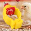 20pcs/pack Automatic Chicken Feeder Nipples   Poultry Water Drinking Dispenser for 20mm Pipe